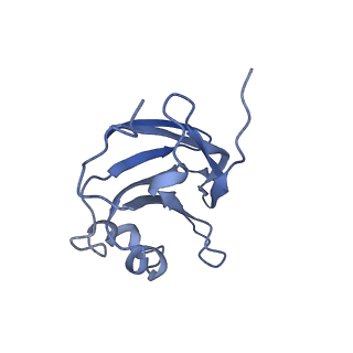 9747_6ixh_B_v1-2
Type VI secretion system membrane core complex