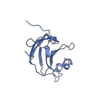 9747_6ixh_C_v1-2
Type VI secretion system membrane core complex