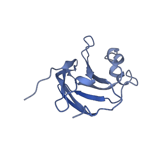 9747_6ixh_D_v1-3
Type VI secretion system membrane core complex