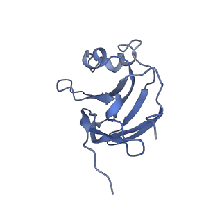 9747_6ixh_E_v1-3
Type VI secretion system membrane core complex