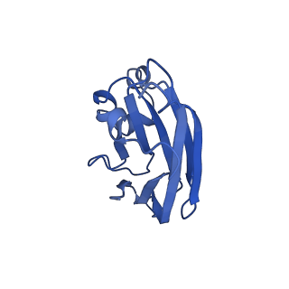 9747_6ixh_G_v1-2
Type VI secretion system membrane core complex