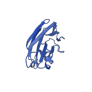 9747_6ixh_I_v1-2
Type VI secretion system membrane core complex