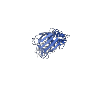 9747_6ixh_V_v1-2
Type VI secretion system membrane core complex