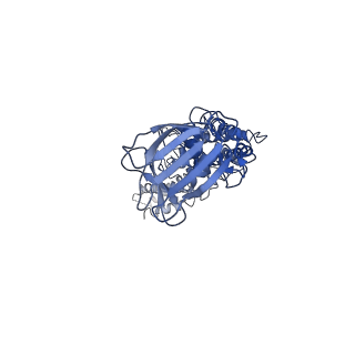 9747_6ixh_V_v1-3
Type VI secretion system membrane core complex