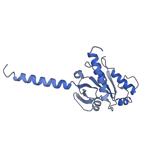 35817_8iy9_A_v1-1
Structure of Niacin-GPR109A-G protein complex