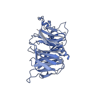 35817_8iy9_B_v1-1
Structure of Niacin-GPR109A-G protein complex