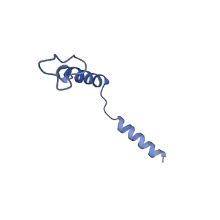 35817_8iy9_G_v1-1
Structure of Niacin-GPR109A-G protein complex