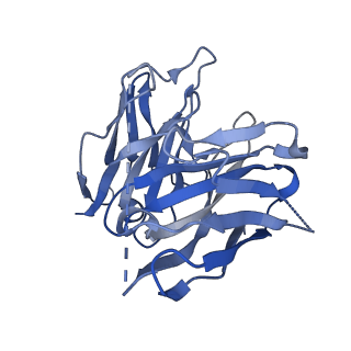 35817_8iy9_H_v1-1
Structure of Niacin-GPR109A-G protein complex