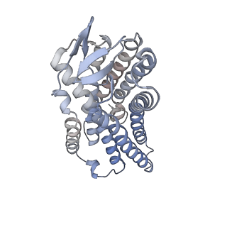 35817_8iy9_R_v1-1
Structure of Niacin-GPR109A-G protein complex