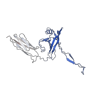 35818_8iyd_D_v1-3
Tail cap of phage lambda tail
