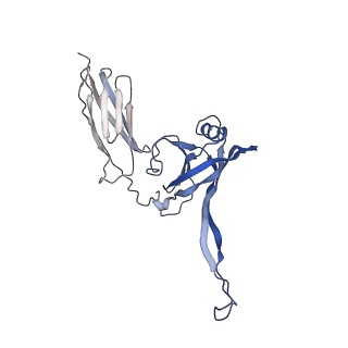 35818_8iyd_F_v1-3
Tail cap of phage lambda tail