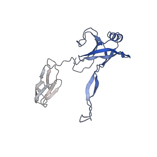 35818_8iyd_H_v1-3
Tail cap of phage lambda tail