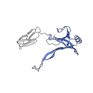 35818_8iyd_J_v1-3
Tail cap of phage lambda tail