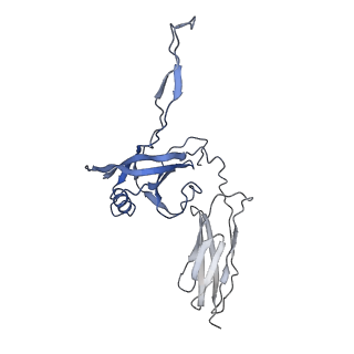 35818_8iyd_N_v1-3
Tail cap of phage lambda tail