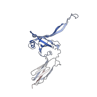 35818_8iyd_P_v1-3
Tail cap of phage lambda tail