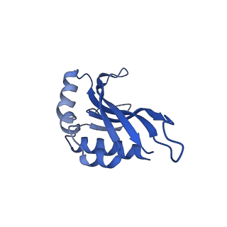 35818_8iyd_Q_v1-3
Tail cap of phage lambda tail