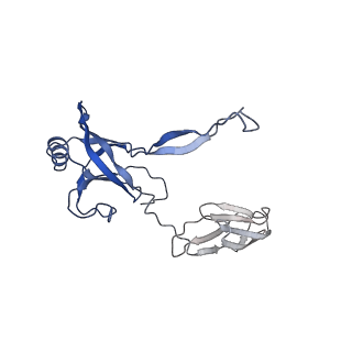 35818_8iyd_R_v1-3
Tail cap of phage lambda tail