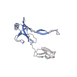 35818_8iyd_S_v1-3
Tail cap of phage lambda tail