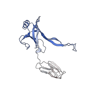 35818_8iyd_T_v1-3
Tail cap of phage lambda tail