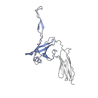 35818_8iyd_X_v1-3
Tail cap of phage lambda tail