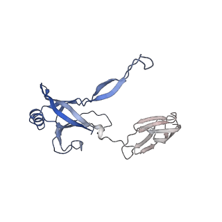35818_8iyd_Y_v1-3
Tail cap of phage lambda tail