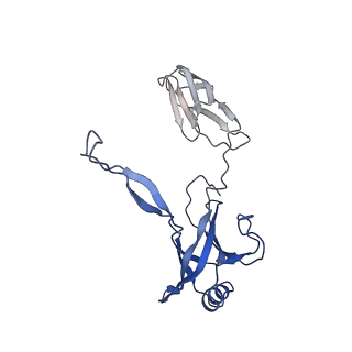 35818_8iyd_a_v1-3
Tail cap of phage lambda tail