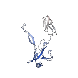35818_8iyd_b_v1-3
Tail cap of phage lambda tail
