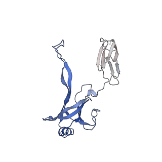 35818_8iyd_c_v1-3
Tail cap of phage lambda tail