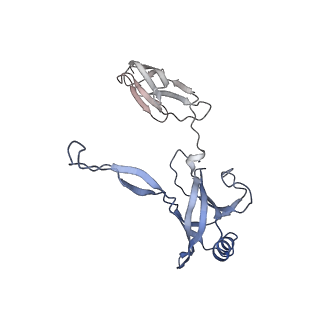 35818_8iyd_v_v1-3
Tail cap of phage lambda tail