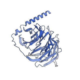 35822_8iyh_A_v1-1
Structure of MK6892-GPR109A-G-protein complex