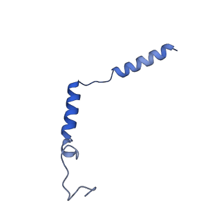 35822_8iyh_G_v1-1
Structure of MK6892-GPR109A-G-protein complex