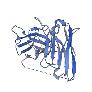 35822_8iyh_H_v1-1
Structure of MK6892-GPR109A-G-protein complex