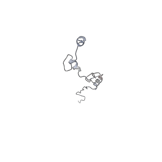 35823_8iyj_0_v1-0
Cryo-EM structure of the 48-nm repeat doublet microtubule from mouse sperm