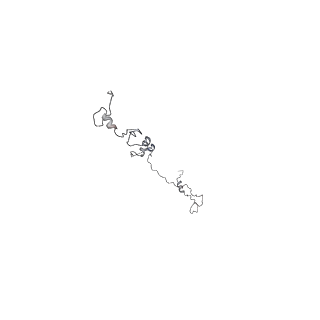 35823_8iyj_7_v1-0
Cryo-EM structure of the 48-nm repeat doublet microtubule from mouse sperm