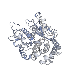 35823_8iyj_AA_v1-0
Cryo-EM structure of the 48-nm repeat doublet microtubule from mouse sperm