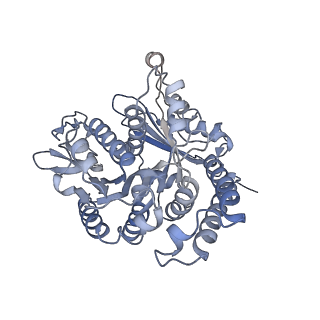 35823_8iyj_AB_v1-0
Cryo-EM structure of the 48-nm repeat doublet microtubule from mouse sperm