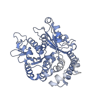 35823_8iyj_AC_v1-0
Cryo-EM structure of the 48-nm repeat doublet microtubule from mouse sperm