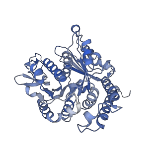 35823_8iyj_AD_v1-0
Cryo-EM structure of the 48-nm repeat doublet microtubule from mouse sperm