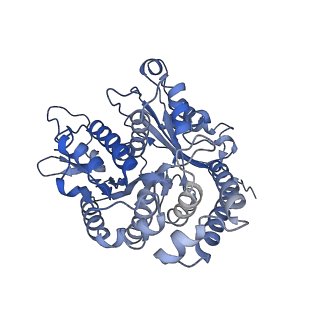35823_8iyj_AG_v1-0
Cryo-EM structure of the 48-nm repeat doublet microtubule from mouse sperm