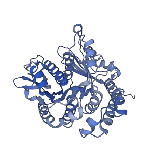 35823_8iyj_AH_v1-0
Cryo-EM structure of the 48-nm repeat doublet microtubule from mouse sperm