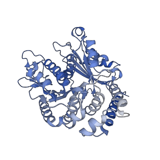 35823_8iyj_AI_v1-0
Cryo-EM structure of the 48-nm repeat doublet microtubule from mouse sperm