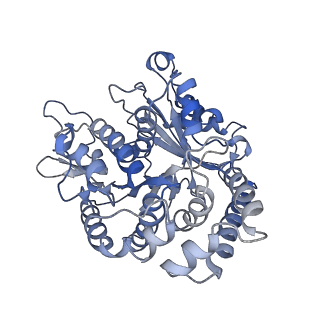 35823_8iyj_AK_v1-0
Cryo-EM structure of the 48-nm repeat doublet microtubule from mouse sperm