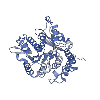 35823_8iyj_AL_v1-0
Cryo-EM structure of the 48-nm repeat doublet microtubule from mouse sperm