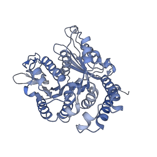 35823_8iyj_AN_v1-0
Cryo-EM structure of the 48-nm repeat doublet microtubule from mouse sperm