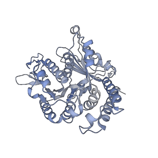 35823_8iyj_AP_v1-0
Cryo-EM structure of the 48-nm repeat doublet microtubule from mouse sperm