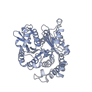 35823_8iyj_BB_v1-0
Cryo-EM structure of the 48-nm repeat doublet microtubule from mouse sperm