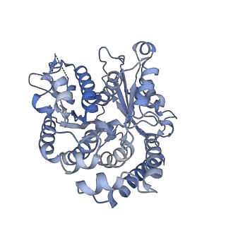 35823_8iyj_BC_v1-0
Cryo-EM structure of the 48-nm repeat doublet microtubule from mouse sperm