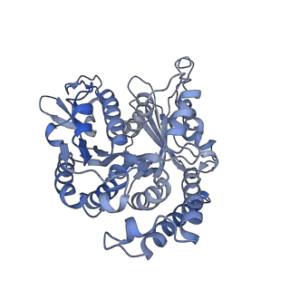 35823_8iyj_BD_v1-0
Cryo-EM structure of the 48-nm repeat doublet microtubule from mouse sperm
