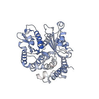 35823_8iyj_BE_v1-0
Cryo-EM structure of the 48-nm repeat doublet microtubule from mouse sperm