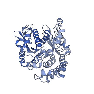 35823_8iyj_BF_v1-0
Cryo-EM structure of the 48-nm repeat doublet microtubule from mouse sperm